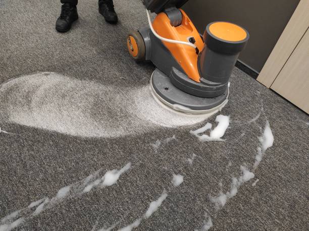 Professional Carpet Cleaning Services for a Spotless Home